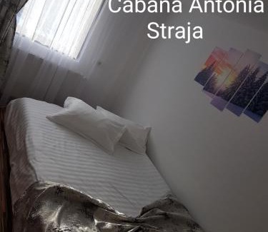 Lupeni Cabina | Cabana Antonia