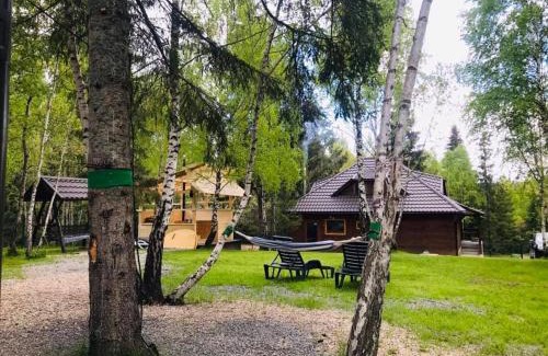 Calatele Casa | Cabana din padure si casutele din copac Belis