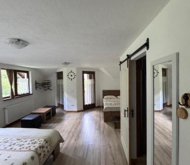 Moisei Cabina | Cabana La Poarta Codrului