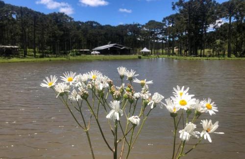 Bom Jardim da Serra Casa | Cabana no Lago, Paz e Aconchego