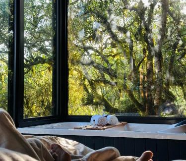 Sao Jose dos Ausentes Cabina | Cabana Pinus