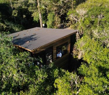 Sao Jose dos Ausentes Cabina | Cabana Pinus