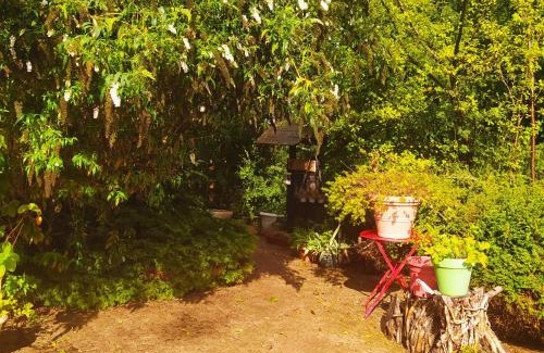 Fumay Otro | CABANE CERISE DANS L'ARBRE Etapeboisee
