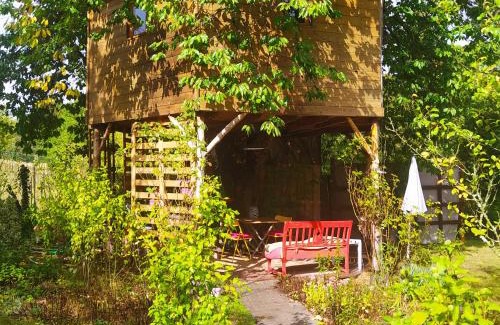 Fumay Otro | CABANE CERISE DANS L'ARBRE Etapeboisee