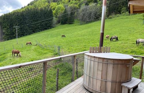 La Pesse Chalet De Esquí | Cabane Insolite de la Semine