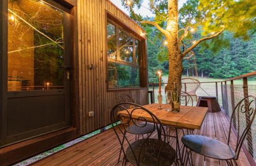 Autrans-Meaudre-en-Vercors Casa | Cabane perchée La Résilience sur le plateau du Vercors