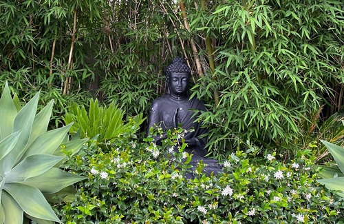 Kiama Casa | Cabbage Tree Art House retreat