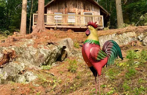 Waterbury Cabina | Cabin 3 - Austrian chalet