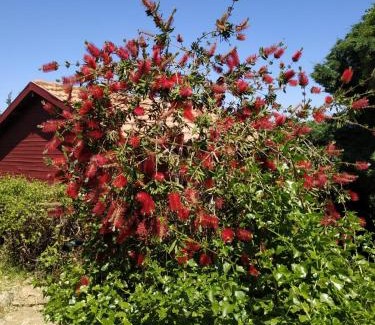 Hararit Chalet De Esquí | Cabin In The View