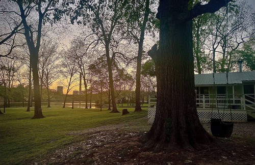 Wright Casa | Cabin sits in the back of a wild pecan grove over looking the Arkansas River