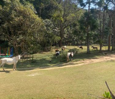 Itamonte Otro | Cachoeira da Gomeira Hospedaria Camping