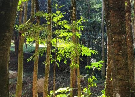 Itamonte Otro | Cachoeira da Gomeira Hospedaria Camping