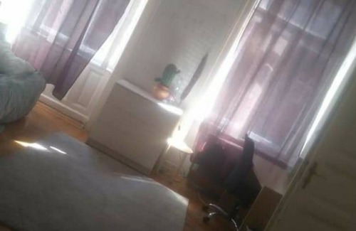 Nepszinhaz negyed Casa | Cactus valley