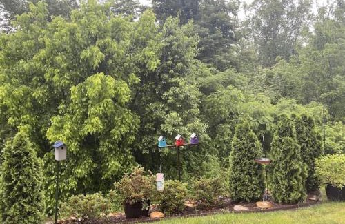 Townsend Casa | Cades Cove Paradise SoftTub Spa Fireplace