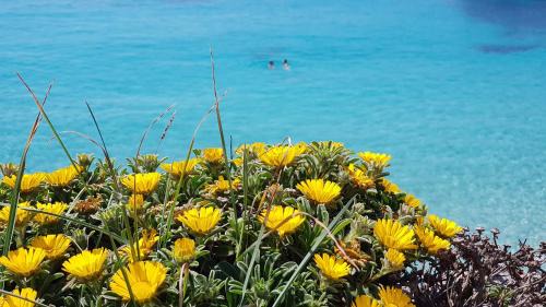 S'Illot-Cala Morlanda Casa | Cala Morlanda