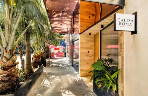Roma Norte Apartamento | Caliza Roma Residences by Tasman