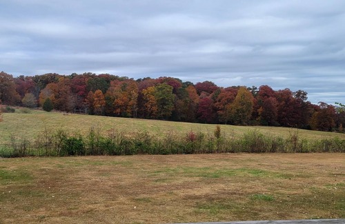 Athens - Sweetwater Casa | Calm, peaceful getaway central to so many attractions