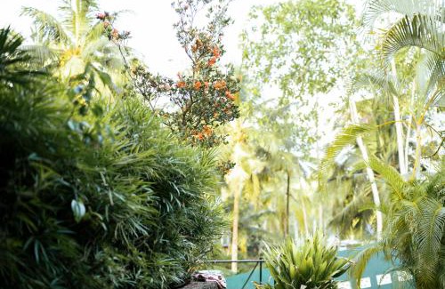 Habaraduwa Villa | Calm Villa Ahangama