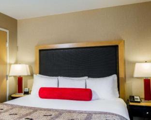 Madison Hotel | Cambria Hotel Madison East