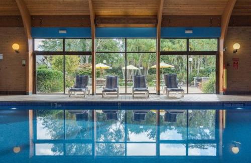 Maenporth Casa | Camellia