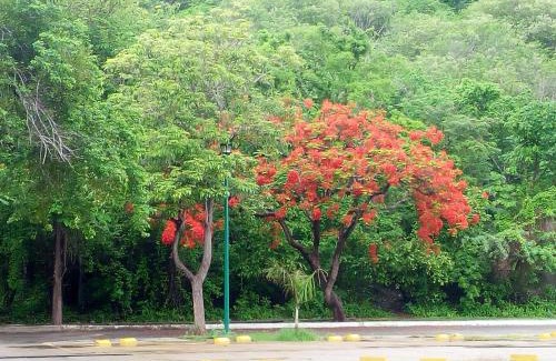 Santa Maria Huatulco Apartamento | Camino al Mar
