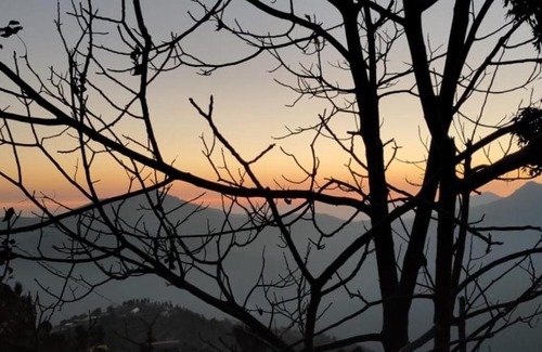 Kanatal Otro | Camp Awara Kanatal