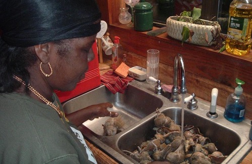 Valona Casa | Camp Nina Log House