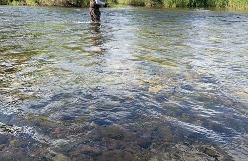 Ravalli County Otro | CAMP SULA - RV SITE 11