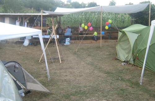Guca Otro | Camp Tomasevic