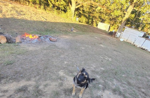 Water Valley Alquiler De RV | campground,fishing pond/farm petting and feeding, bright stars/fruit trees fire