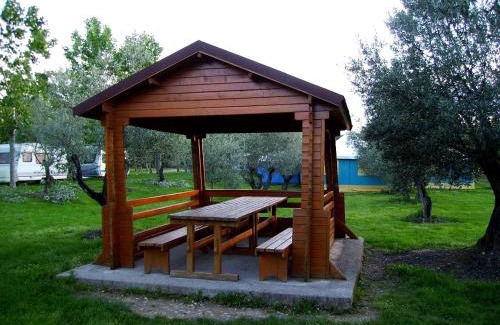 Panzano Otro | Camping Cañones de Guara y Formiga