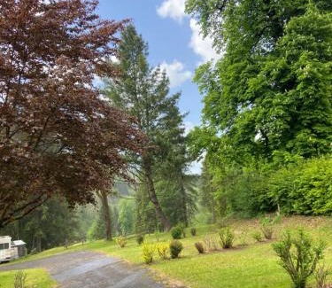 Le Petit-Bornand-les-Glieres Otro | Camping les Marronniers