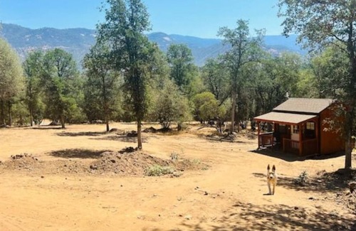 Squaw Valley Alquiler De RV | Camping near Sequoia Kings Canyon National Park #6