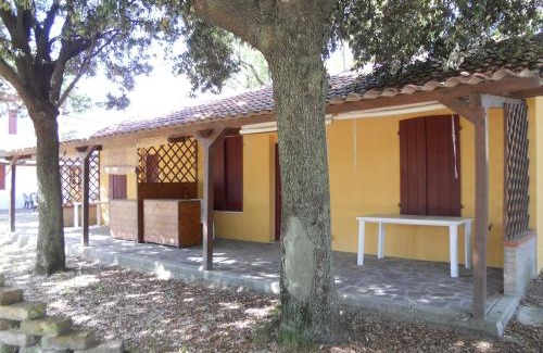 Granarola Otro | Camping Paradiso