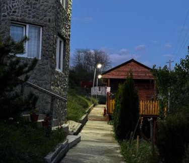 Merisor Otro | Camping, Picnic Merișor Bănița Hunedoara