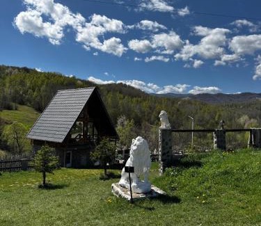 Merisor Otro | Camping, Picnic Merișor Bănița Hunedoara