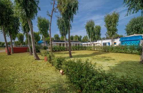 Fertilia Otro | Camping Village Laguna Blu