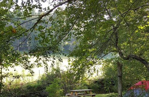 Penrose Alquiler De RV | ¡Camping # 2 a orillas de Crab Creek, tienda de campaña cerca del Bosque Estatal Dupont!