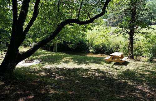 Penrose Alquiler De RV | ¡Camping # 2 a orillas de Crab Creek, tienda de campaña cerca del Bosque Estatal Dupont!