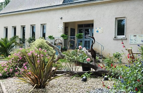 Luynes Casa | Campsite Flower les Granges*** - Wood Lodge Comfort 3 rooms 4 people Without Sanitary