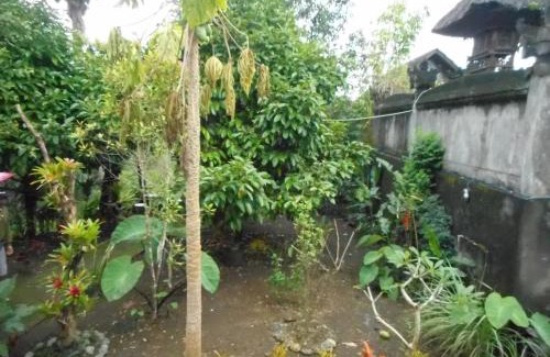 Besakih Casa | Candra Homestay Besakih