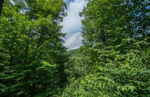 McHenry Casa | Canopy Escape