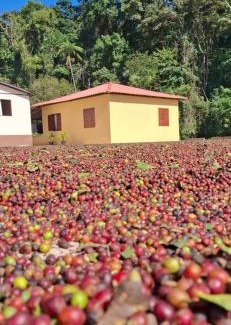 Caparao National Park Casa | Cantinho da Mata