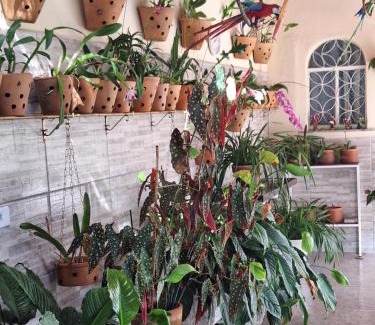 Piratininga Casa | Cantinho da Paz