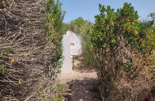 Carloforte Casa | Carloforte Palme House