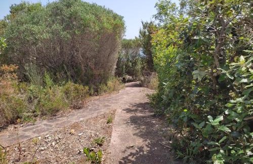 Carloforte Casa | Carloforte Palme House