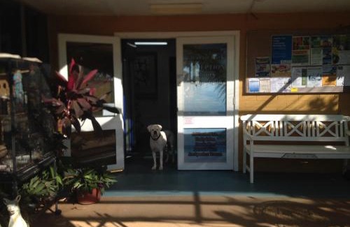 Kingsford Complejo | Carnarvon Caravan Park