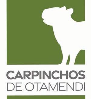 Campana Apartamento | Carpinchos De Otamendi