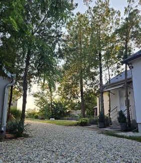 Central Banat District Casa | Carska oaza