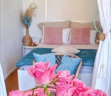 Zalec Apartamento | Casa 1895- where history meets comfort